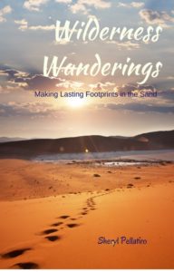 Wilderness Wanderings: Making Lasting Footprints in the Sand