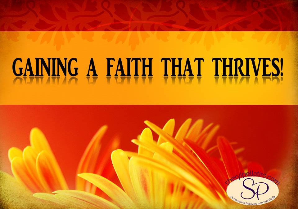 Gaining A Faith That Thrives!