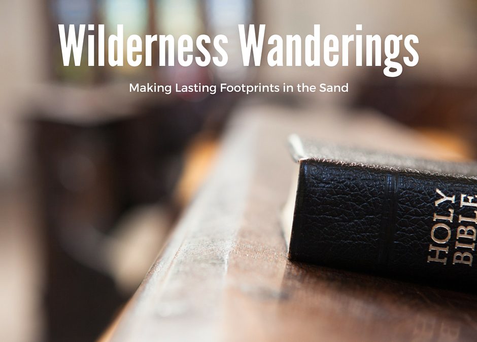 Wilderness Wanderings: The Lord Will Provide