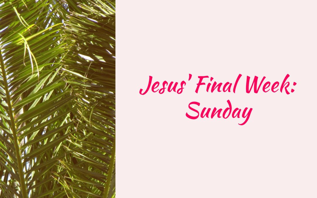 Jesus’ Final Week: Sunday