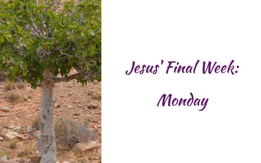 Jesus’ Final Week: Monday