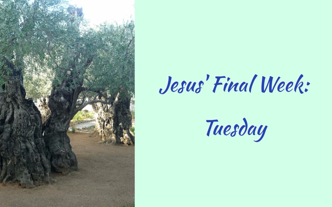 Jesus’ Final Week: Tuesday