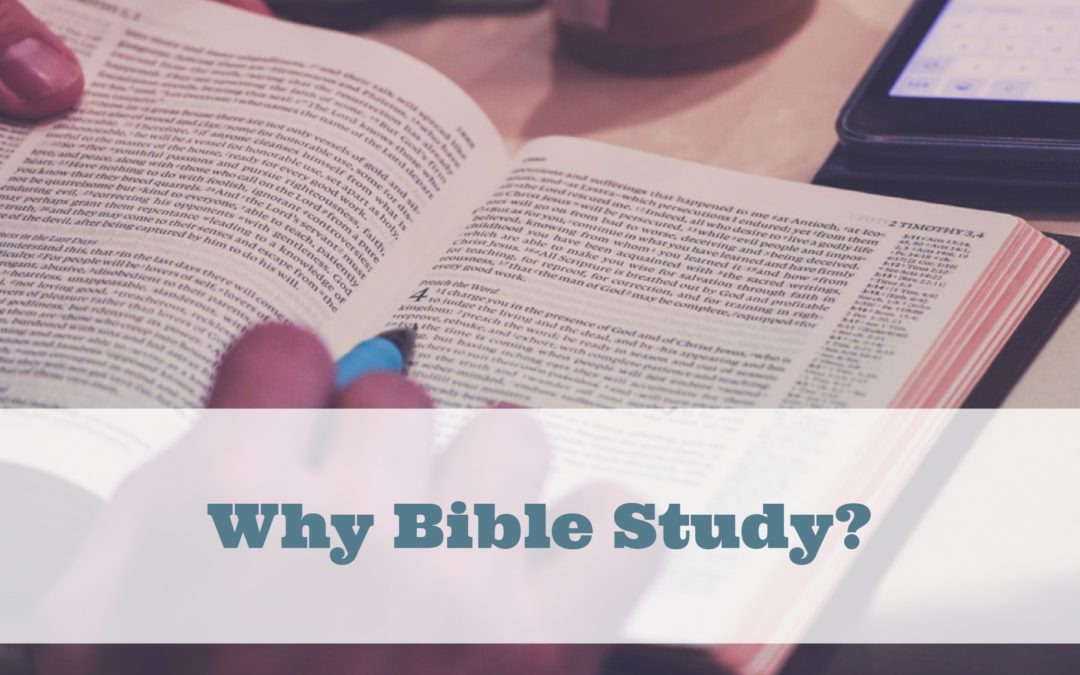 Why Bible Study?